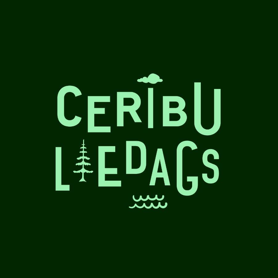 Вилла Ceribu Liedags Мерсрагс Экстерьер фото